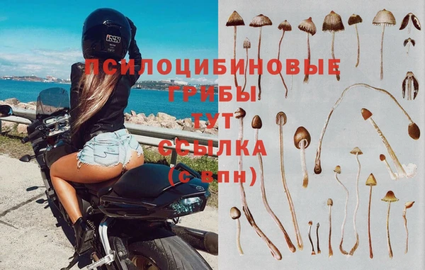 прущая мука Дмитровск