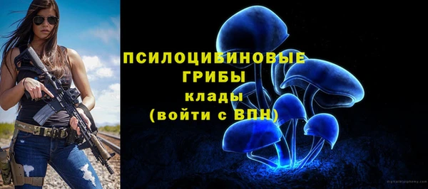 прущая мука Дмитровск