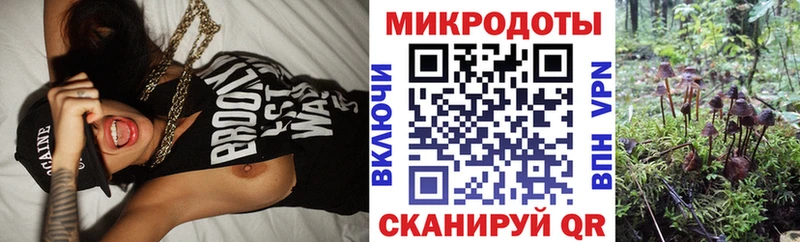 Псилоцибиновые грибы MAGIC MUSHROOMS  Купить где  Морозовск 