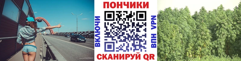 Купить закладки Морозовск Каннабис VHQ